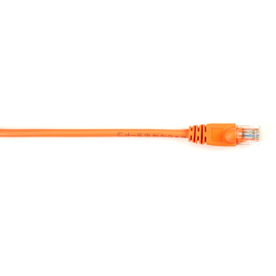 Black Box CAT6PC-002-OR Products