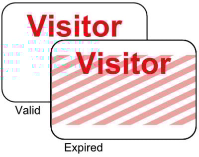 Brady Visitor Badges LITE
