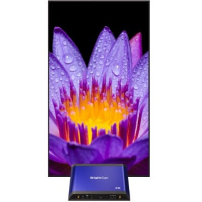 BrightSign XD235 Media Player