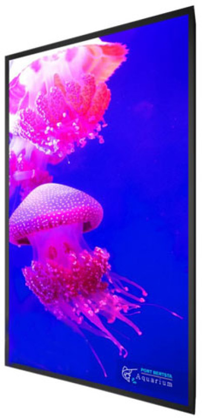 Planar 998-2162-00 Digital Signage Display