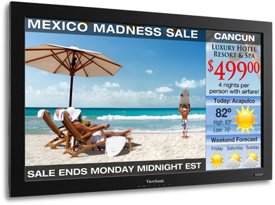 ViewSonic CD3225 Monitor