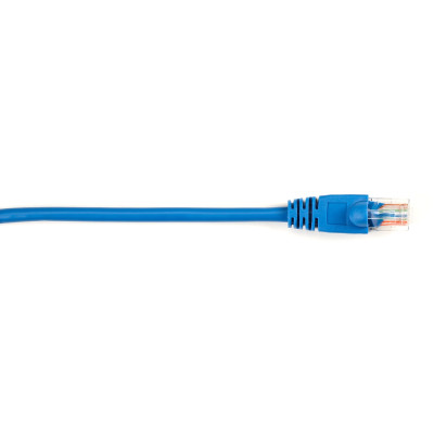 Black Box CAT5EPC-005-BL-25PAK Products