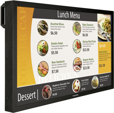 Planar PS4200 Monitor