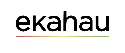 Ekahau ESK-2 Network Testing