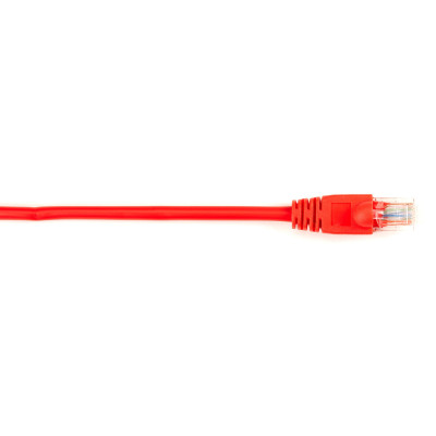 Black Box CAT5EPC-005-RD-25PAK Products