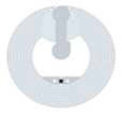 SMARTRAC RFID Inlays RFID Inlay