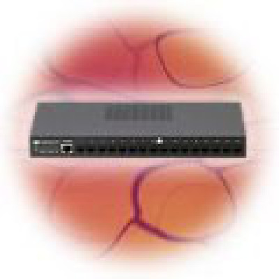 Digi PortServer TS 8-16 Data Networking