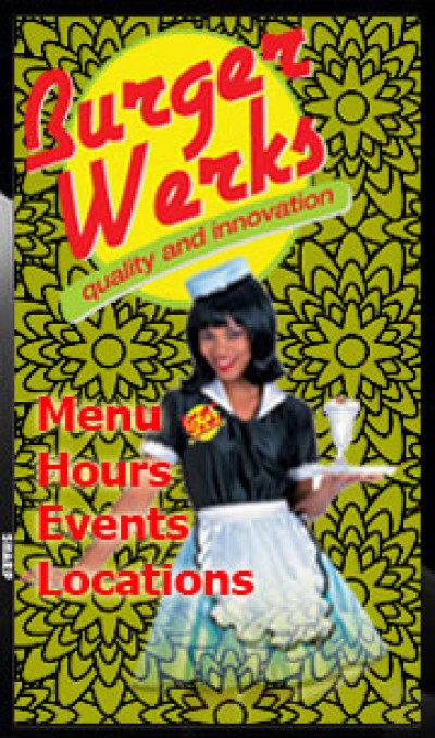Display Werks 5250-SC-PNE521-6ESD/NG Products
