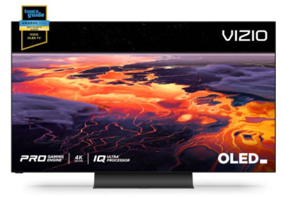 VIZIO OLED Digital Signage Display
