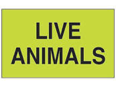 AirTrack® Shipping Labels Shipping Labels