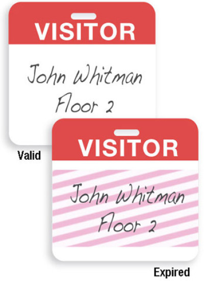 Brady Visitor Badges Accessory