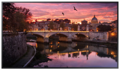 Samsung QBR Series Digital Signage Display