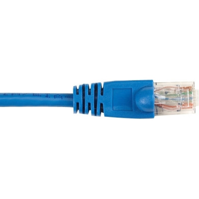 Black Box CAT5EPC-002-BL-10PAK Products