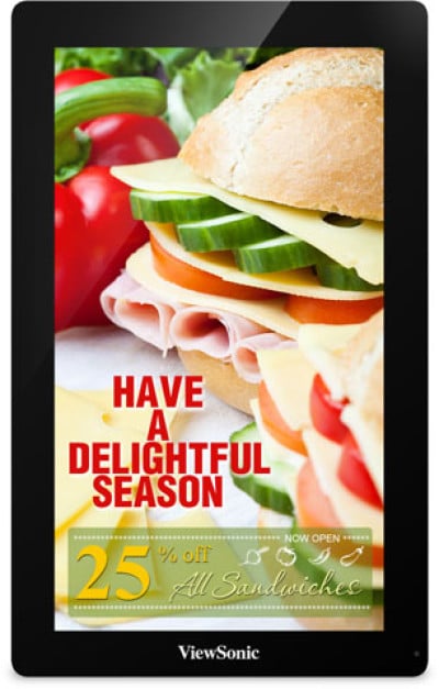 ViewSonic EP3203r Digital Signage Display