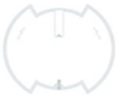 SMARTRAC RFID Inlays RFID Inlay