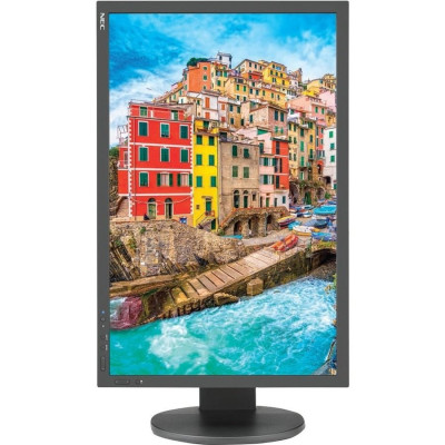 NEC PA243W-BK Monitor
