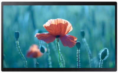 Samsung QBR Series Small Monitor