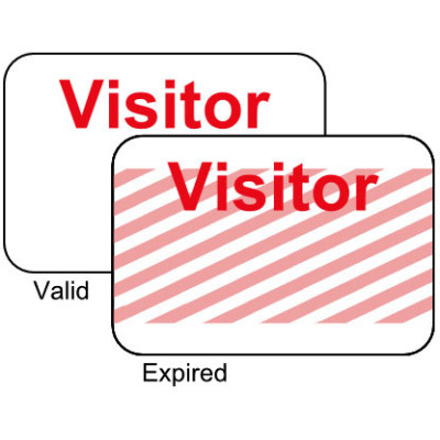 Brady Visitor Badges LITE Access Control Cards