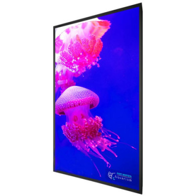 Planar 998-2162-00 Digital Signage Display