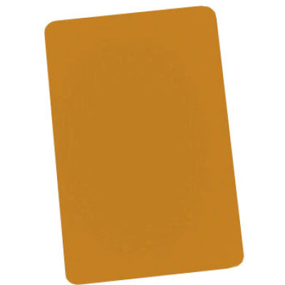 Brady PVC Plastic ID Card