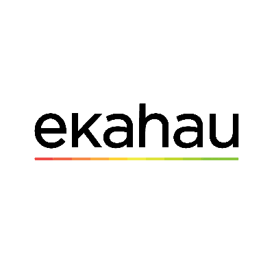Ekahau ESK-2 Network Testing