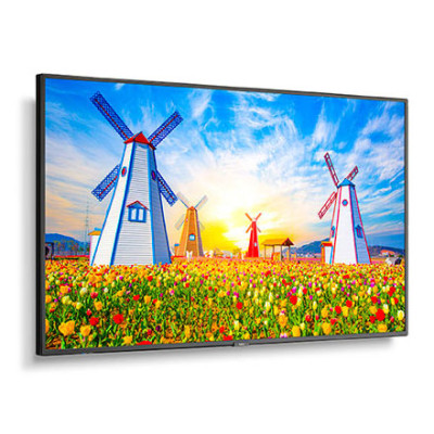 NEC MultiSync M651 Monitor