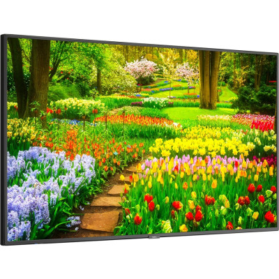 NEC M491 Monitor