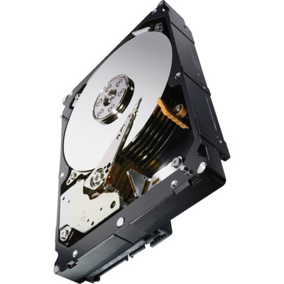 Seagate ST3000NM0033 Drive