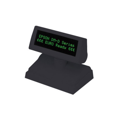 Epson DM-D110 Customer Pole Display