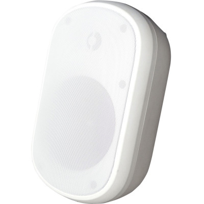 Speco SPCE6OTW Security Camera