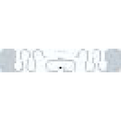 SMARTRAC RFID Inlays RFID Inlay