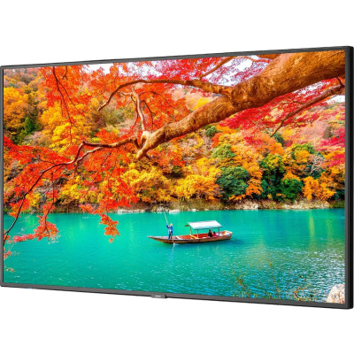 NEC MA431 Monitor