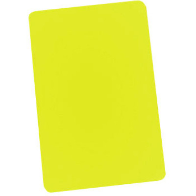 Brady PVC Plastic ID Card