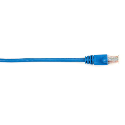 Black Box CAT6PC-001-BL-25PAK Products