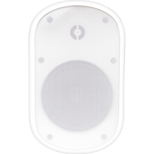 Speco SPCE5OTW Security Camera