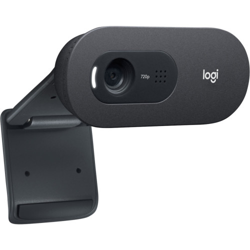 Logitech C505e Webcam