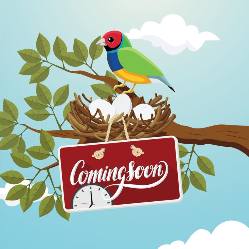 ViewSonic VPC25-W53-P1 Accessory