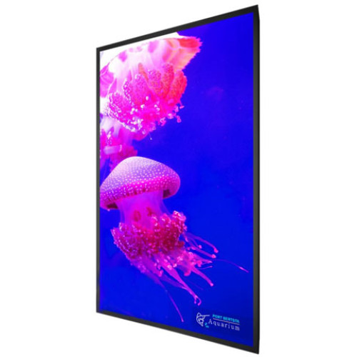 Planar 998-2162-00 Digital Signage Display
