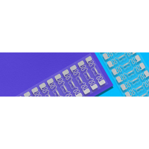 Avery-Dennison AD Belt M730 RFID Tag