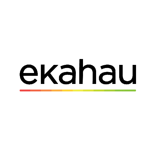 Ekahau ESK-2 Network Testing