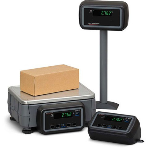 Weigh-Tronix ZP900 Scale