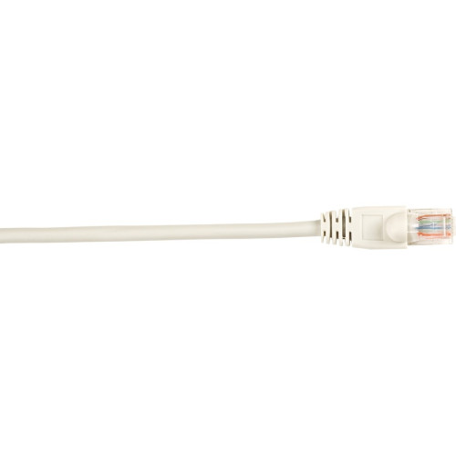 Black Box CAT5EPC-020-GY-25PAK Accessory