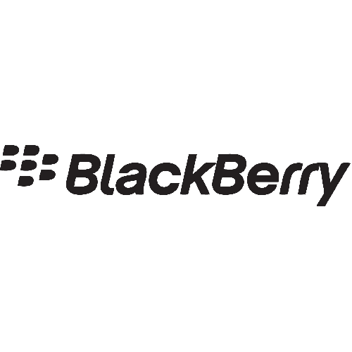 BlackBerry Accessory