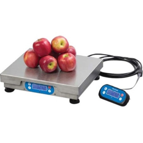 Brecknell 6700 Series Scale