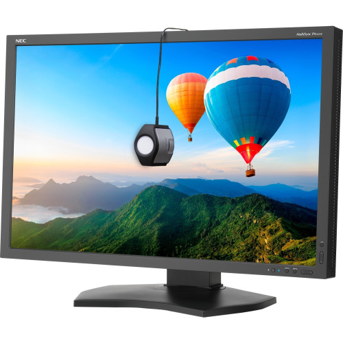 NEC PA302W-BK-SV Monitor
