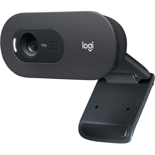 Logitech C505e Webcam