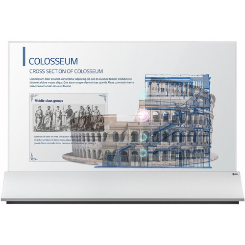 LG 55EW5PG-S Digital Signage Display