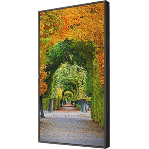 NEC X554HB Products