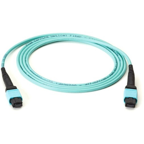 Black Box FOTC20M3-MP-12AQ-10 Accessory