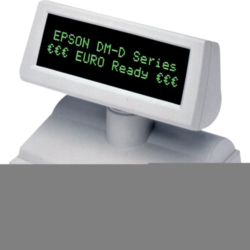 Epson DM-D110 Customer Pole Display